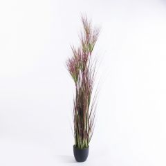 Supergreens Τεχνητό Φυτό Χορτάρι Πάπυρος "Nile" Πράσινο/Ροζ 186 Εκ.