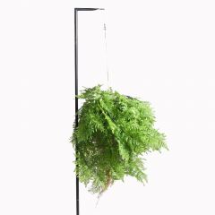 Supergreens Τεχνητή Κρεμαστή Ρίζα Φτέρης 60 Εκ.