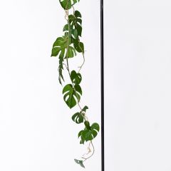 Supergreens Τεχνητή Γιρλάντα Μονστέρα Deliciosa 120 Εκ.