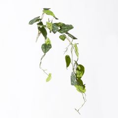 Supergreens Τεχνητή Γιρλάντα Πόθος Emerald 120 Εκ.