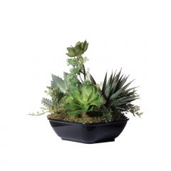 Supergreens Τεχνητό Φυτό Σύνθεση Παχύφυτων Πράσινο 19 εκ.