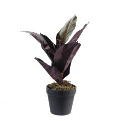 Supergreens Τεχνητό Φυτό Φίκος Elastica Ruby Πράσινο 36 εκ.