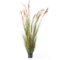 Supergreens Τεχνητο Φυτό Χορτάρι "Reed" Πράσινο 280 Εκ.