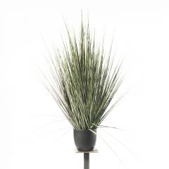 Supergreens Τεχνητό Φυτό Χορτάρι "Stipa" 91 Εκ.