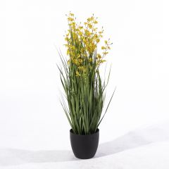 Supergreens Τεχνητό Φυτό Χορτάρι "Oncidium Nelly" 91 Εκ.
