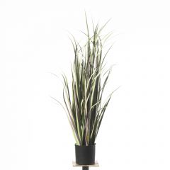 Supergreens Τεχνητό Φυτό Χορτάρι "Acorus" 91 Εκ.