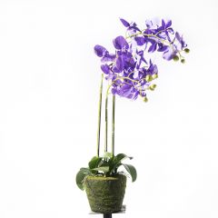 Supergreens Τεχνητό Φυτό Ορχιδέα Phalaenopsis Μωβ 80 Εκ.