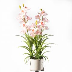 Supergreens Τεχνητό Φυτό Ορχιδέα "Cymbidium Orchid" Ροζ 70 Εκ.