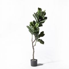 Supergreens UV+FR Τεχνητό Δέντρο Φίκος Λυράτα Πράσινο 120 Εκ.