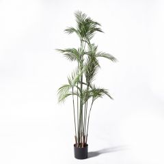 Supergreens UV Τεχνητό Δέντρο Φοίνικας Πράσινο 180 Εκ.