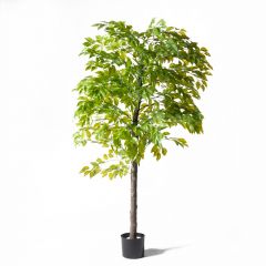 Supergreens UV Τεχνητό Δέντρο Φίκος Πράσινο 120 Εκ.