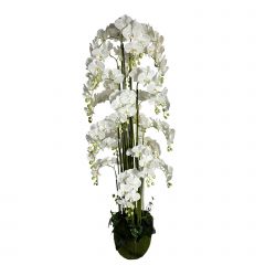 Supergreens Τεχνητό Φυτό Ορχιδέα "Phalaenopsis" Real Touch Λευκό Με Moss Βάση 180 Εκ.