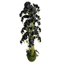 Supergreens Τεχνητό Φυτό Ορχιδέα "Phalaenopsis" Real Touch Μαύρο Με Moss Βάση 180 Εκ.