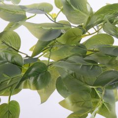 Supergreens Τεχνητό Φυτό Φίκος "Coide" Πράσινο 62 εκ.