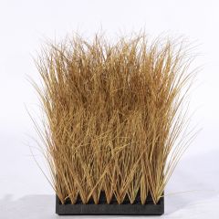 Supergreens Τεχνητή Φυλλωσιά Χορτάρι "PriveLine" Φυσικό 50x90 εκ.