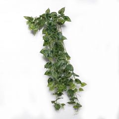 Supergreens Τεχνητή Κρεμαστή Φιτόνια Albivenis Πράσινη 110 Εκ.