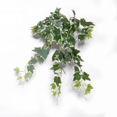 Supergreens Τεχνητός Κρεμαστός Κισσός Πανασέ Πράσινος 65 εκ.