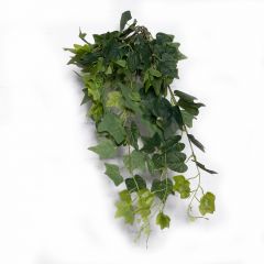 Supergreens Τεχνητός Κρεμαστός Κισσός Πράσινος 65 εκ.