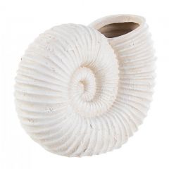 Bizzotto Nautilus Διακοσμητικό Κοχύλι Resin Λευκό 30,5x15,8x25,7
