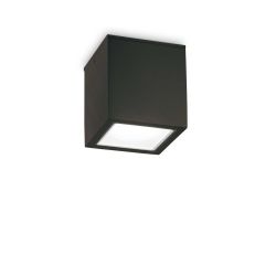 Ideal Lux Φωτιστικό Οροφής Εξωτερικού Χώρου Μαύρο 15x15 Techo PL1 Big 251530