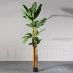Supergreens Τεχνητο Δέντρο Μπανάνα Πράσινο 320 Εκ.