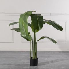 Supergreens Τεχνητο Δέντρο Πουλί του Παραδείσου "Strelitzia Nicolais" Πράσινο 180 Εκ.