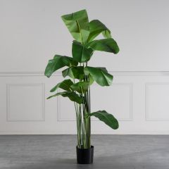 Supergreens Τεχνητο Δέντρο Πουλί του Παραδείσου "Strelitzia Nicolais" Πράσινο 210 Εκ.