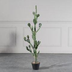 Supergreens Τενητό Φυτό Φραγκοσυκιά "Opuntia" 134 εκ.