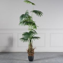 Supergreens Τεχνητό Δέντρο Πιτσάρδια "Washingtonia" Πράσινο 200 Εκ.