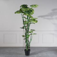 Supergreens Τεχνητό Δέντρο Μονστέρα Πράσινο 240 Εκ.