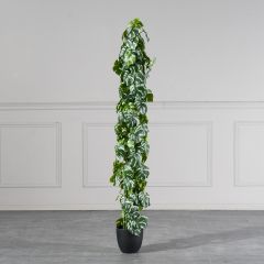 Supergreens Τεχνητό Δέντρο Μονστέρα "Minima Albo" Πράσινο 150 Εκ.