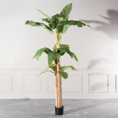 Supergreens Τεχνητό Δέντρο Μπανανιά "Musa" Πράσινο 170x160x280 Εκ.