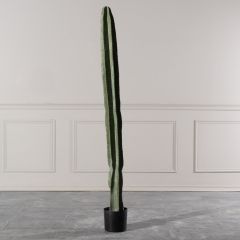 Supergreens Τεχνητός Κάκτος "Euphorbia" Πράσινος 14x12x185 Εκ.