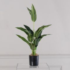 Supergreens Τεχνητό Δέντρο Πουλί του Παραδείσου "Caesura" 60 Εκ.