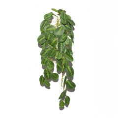 Supergreens Τεχνητή Κρεμαστή Καλαθέα "Zebrina" Πράσινη 85 Εκ.