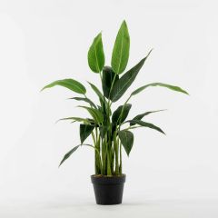 Supergreens Τεχνητό Δέντρο Πουλί του Παραδείσου Σε Γλάστρα 100 Εκ.