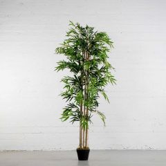 Supergreens Τεχνητό Δέντρο Μπαμπού Σε Γλάστρα 35x35x180