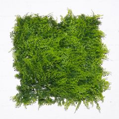 Supergreens Τεχνητή Φυλλωσιά Φτέρης Classic 50x50 Εκ.